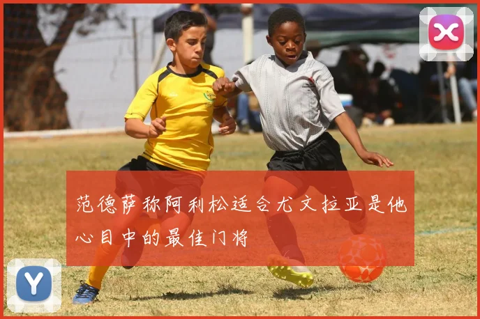 范德萨称阿利松适合尤文拉亚是他心目中的最佳门将
