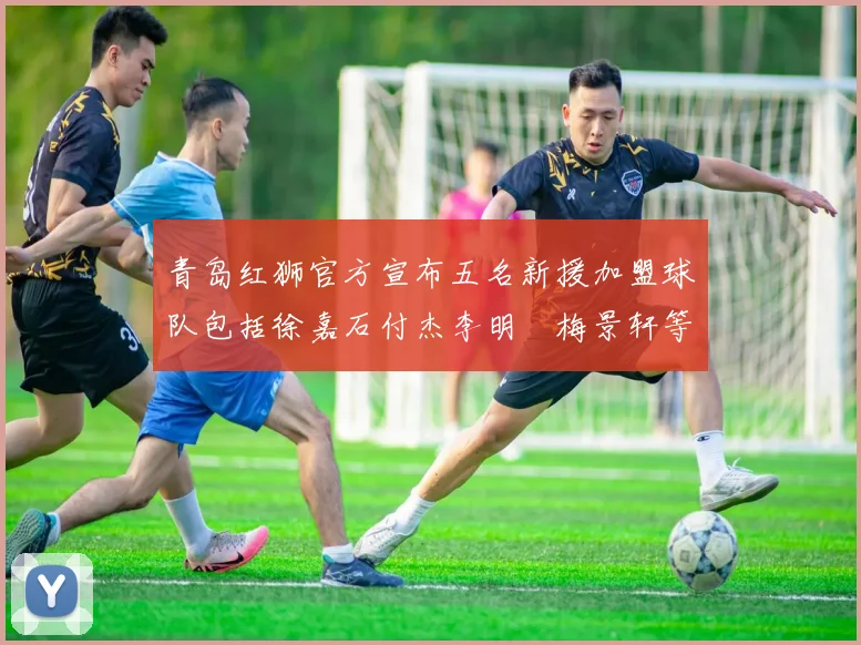 青岛红狮官方宣布五名新援加盟球队包括徐嘉石付杰李明璠梅景轩等球员