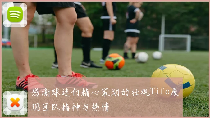 感谢球迷们精心策划的壮观Tifo展现团队精神与热情